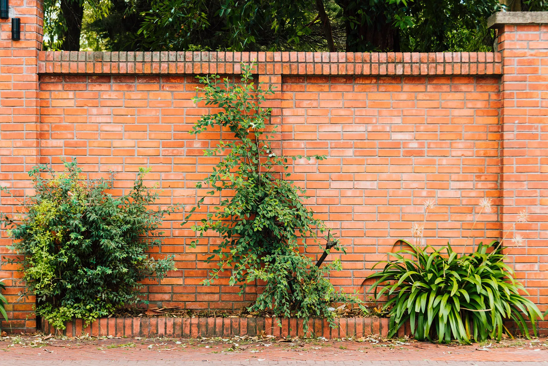 A brick wall with a planter and a fire hydrant in front of it.